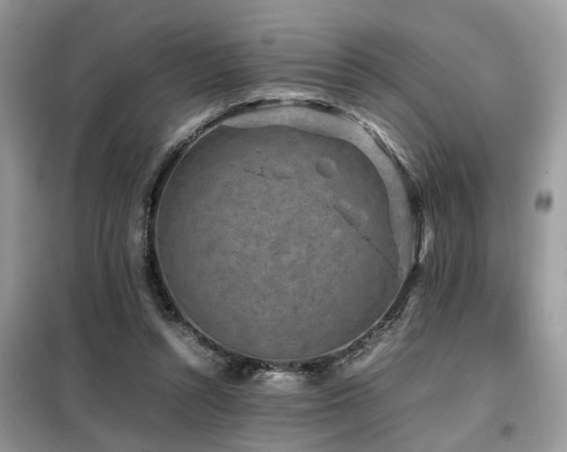 X0000099410352200805091224