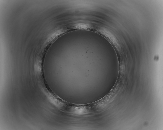 X0000099410353200805091224