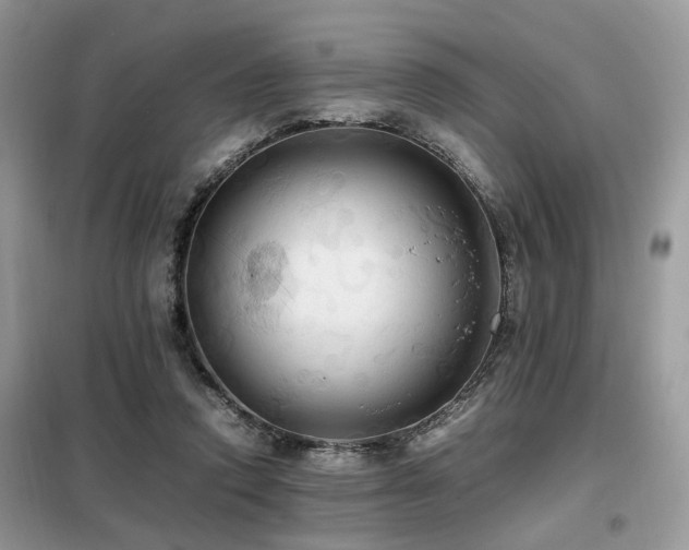 X0000099410354200805091224