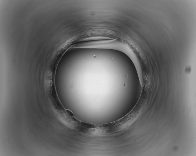 X0000099410356200805091225