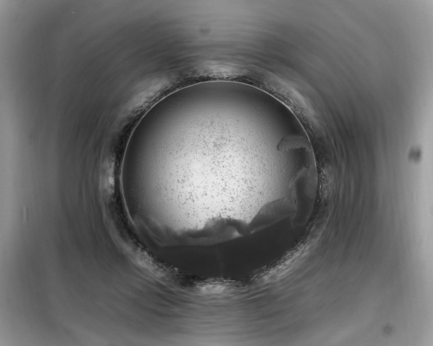 X0000099410358200805091225