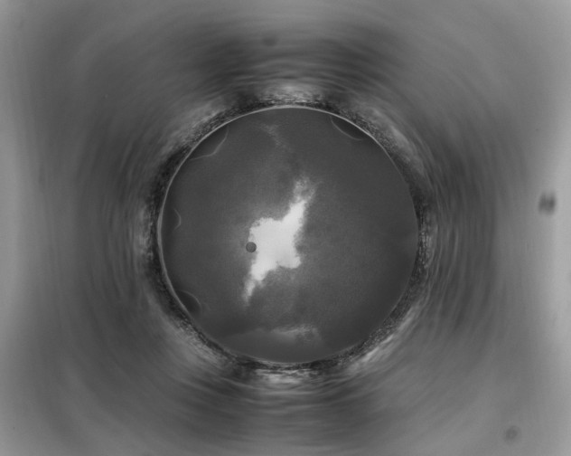 X0000099410359200805091225