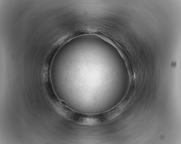 X0000099410360200805091225