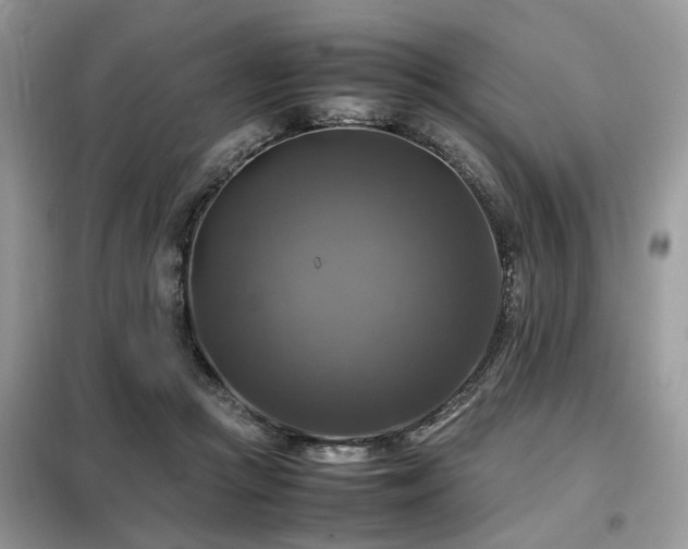 X0000099410361200805091225