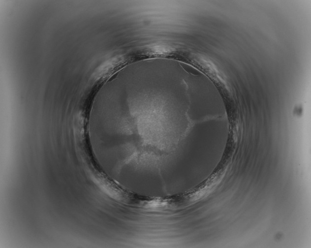 X0000099410366200805091225