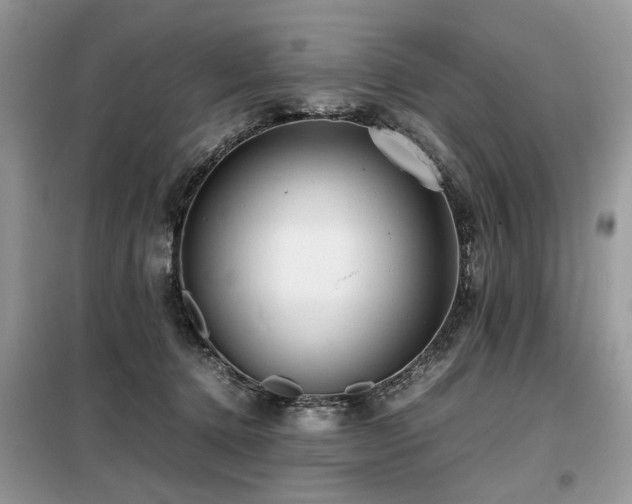 X0000099410368200805091225