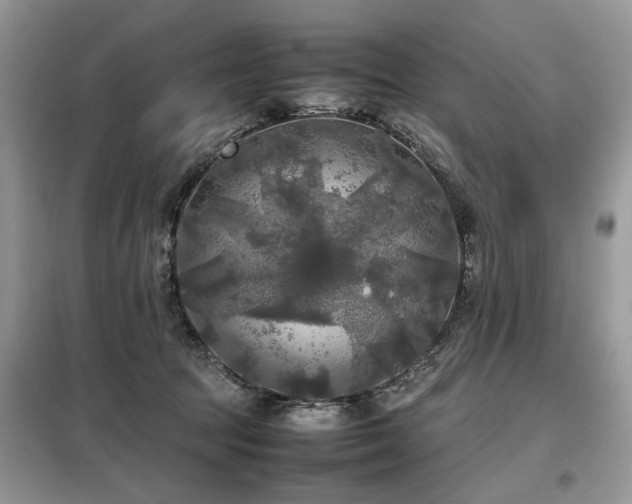 X0000099410369200805091225
