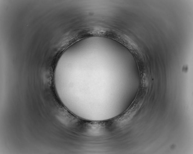 X0000099410370200805091225