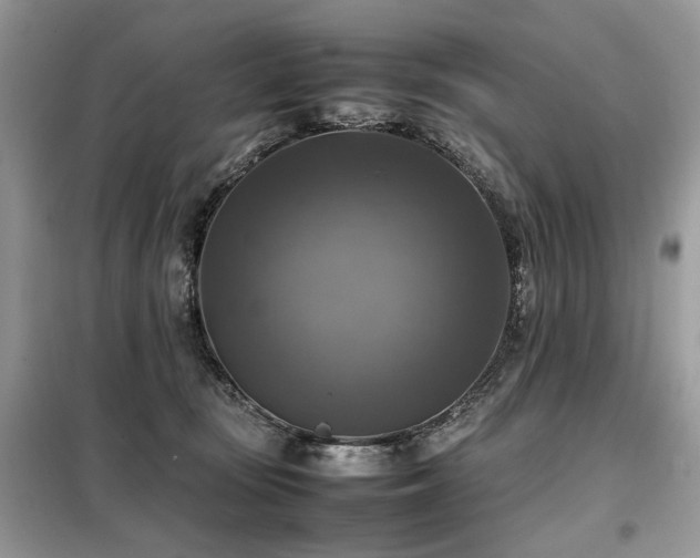 X0000099410371200805091225