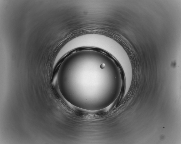 X0000099410372200805091225