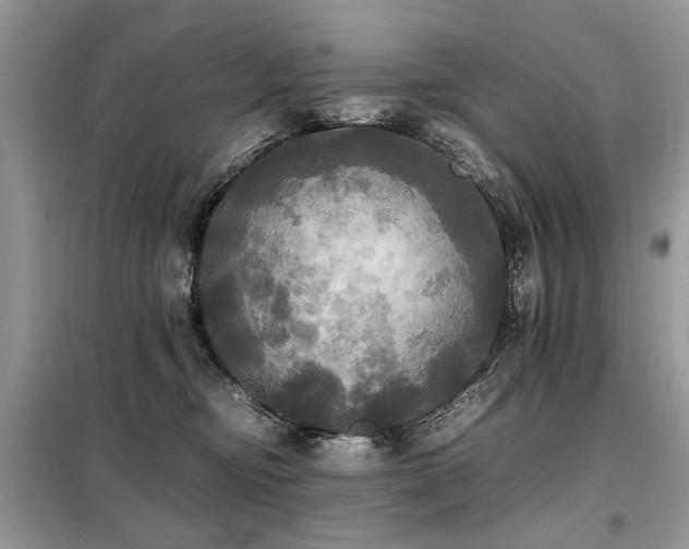 X0000099410374200805091225