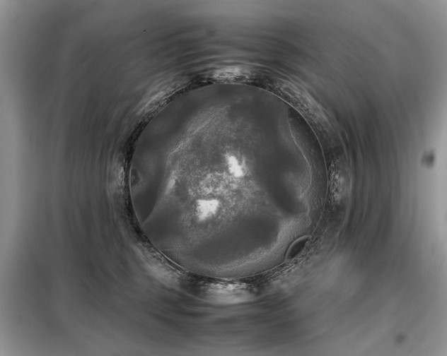 X0000099410375200805091225