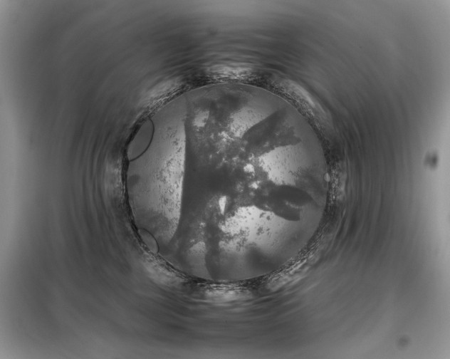 X0000099410377200805091225