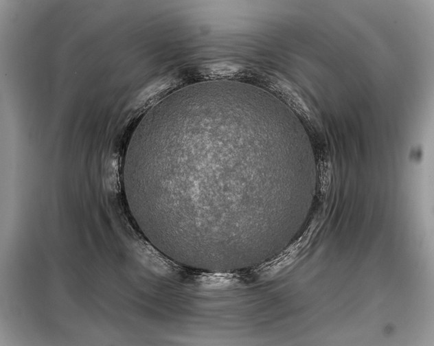 X0000099410378200805091225