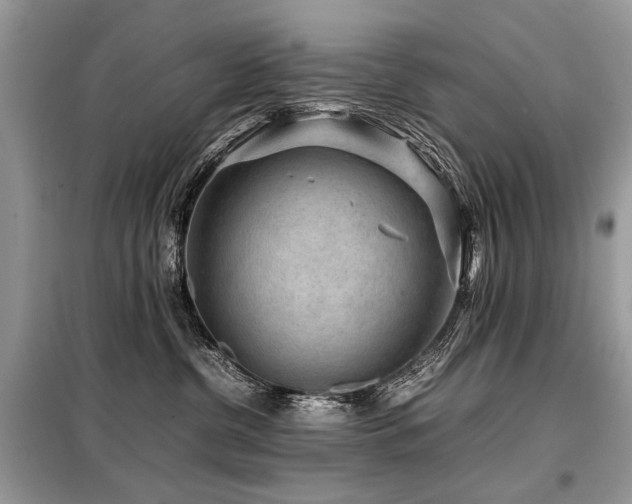 X0000099410380200805091225
