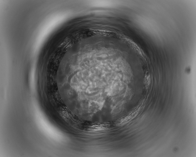 X0000099410381200805091225
