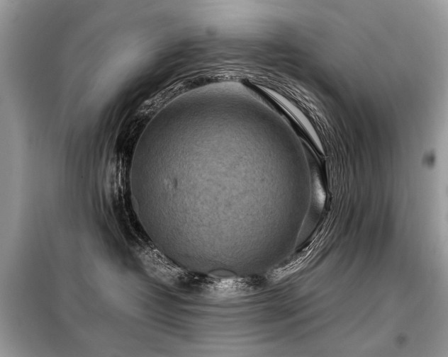 X0000099410382200805091225