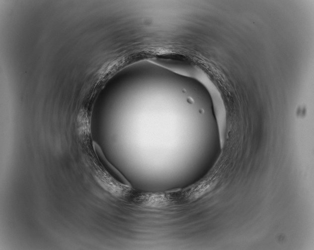 X0000099410384200805091225