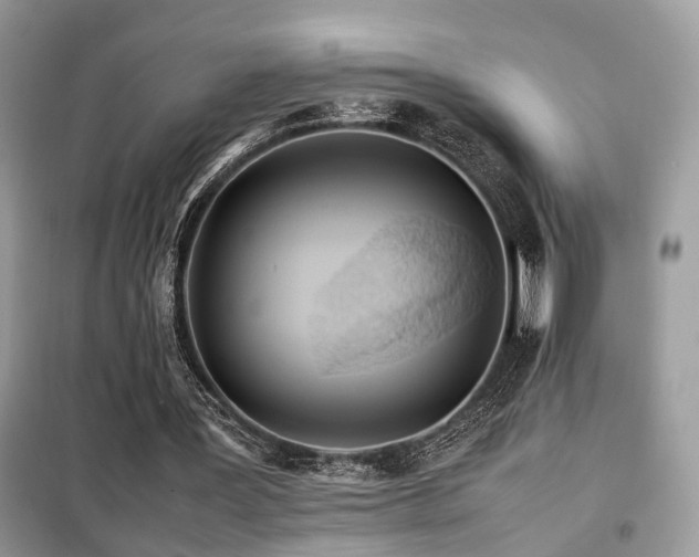X0000099410387200805091224
