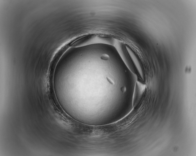 X0000099410388200805091224