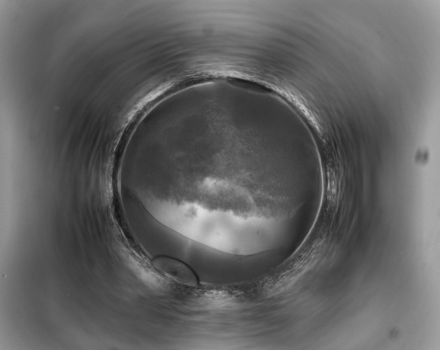 X0000099410390200805091224