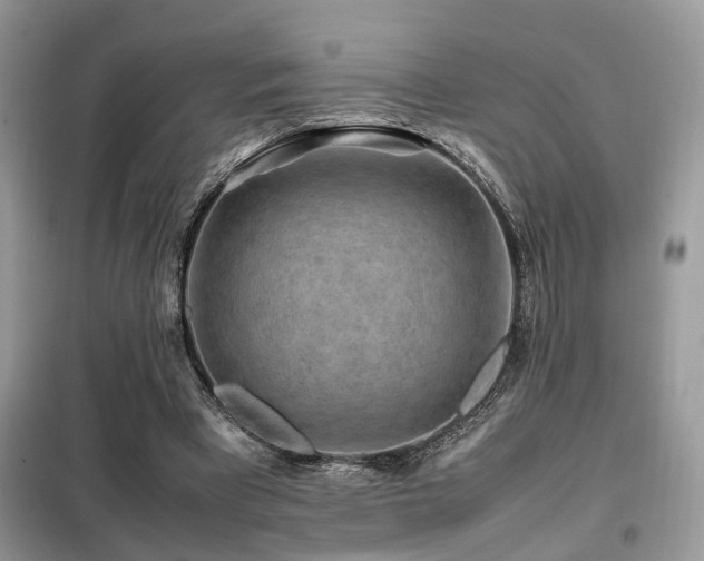 X0000099410393200805091224