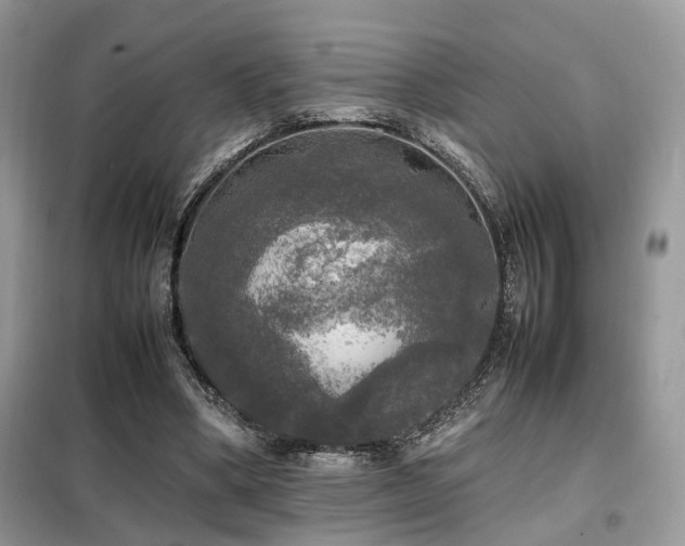 X0000099410394200805091224