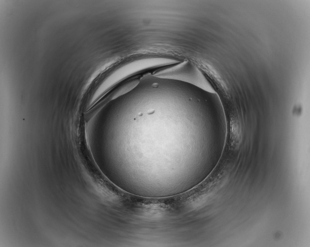 X0000099410396200805091224