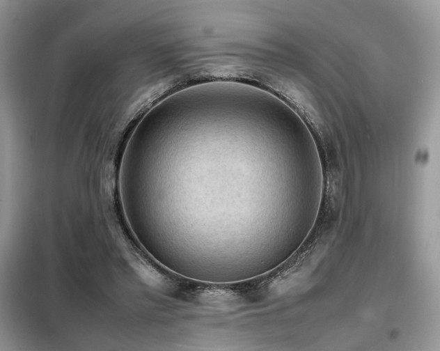 X0000099410397200805091224