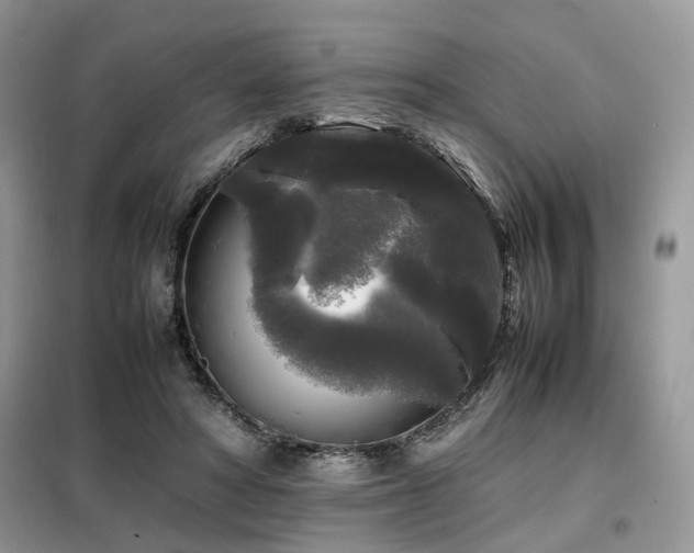 X0000099410402200805091224