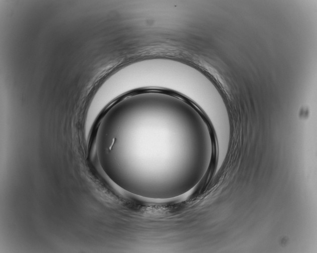 X0000099410403200805091224