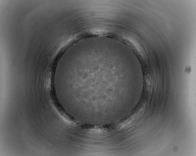 X0000099410404200805091224