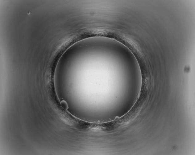 X0000099410407200805091224