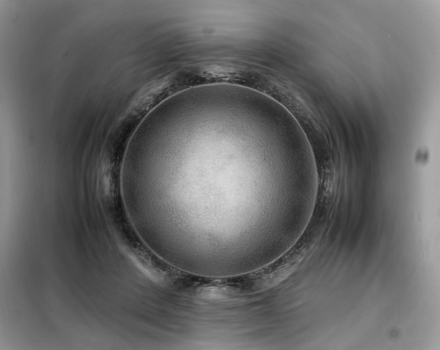 X0000099410408200805091224