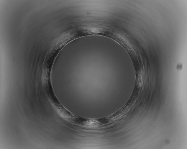 X0000099410410200805091224