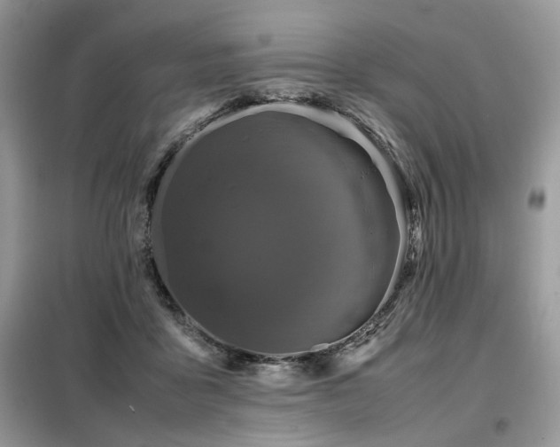 X0000099410411200805091224