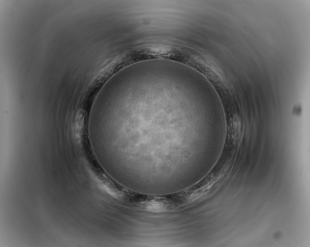 X0000099410412200805091224