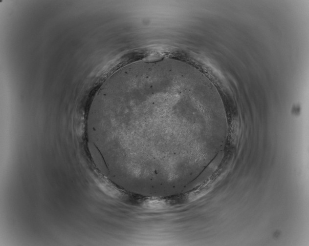 X0000099410413200805091224