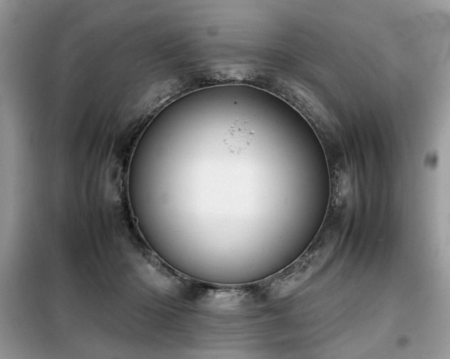 X0000099410414200805091224