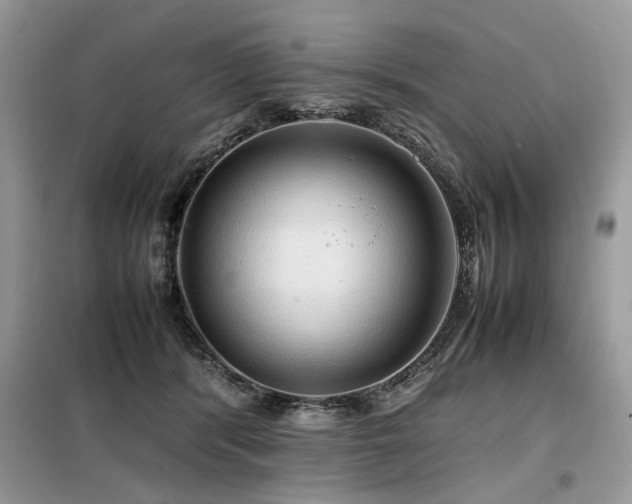 X0000099410416200805091224
