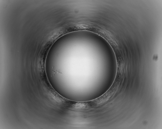 X0000099410418200805091224