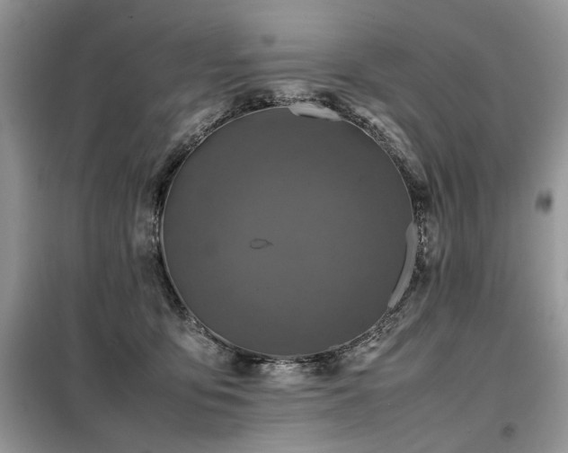 X0000099410419200805091224