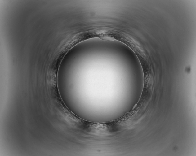 X0000099410421200805091224