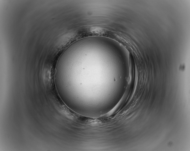 X0000099410424200805091223