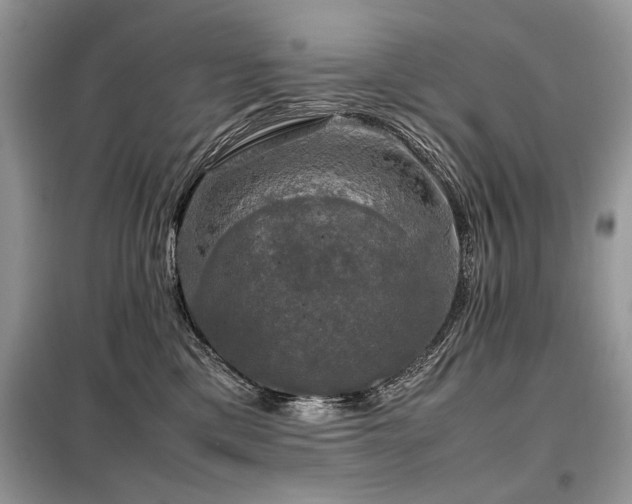 X0000099410425200805091223