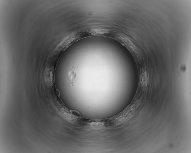 X0000099410426200805091223