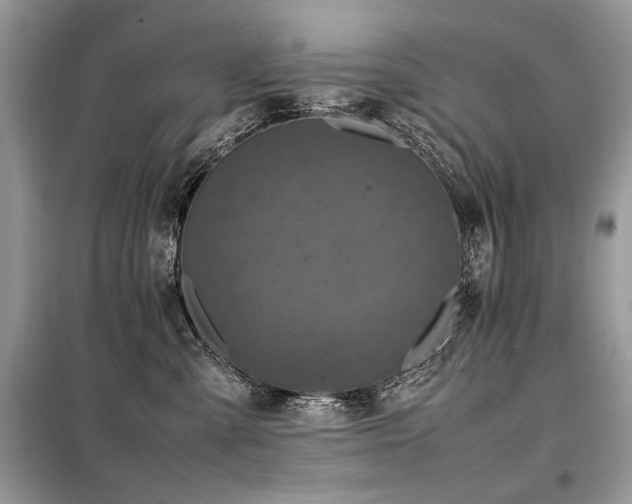 X0000099410427200805091223