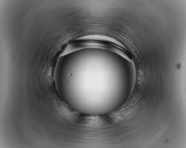 X0000099410428200805091223