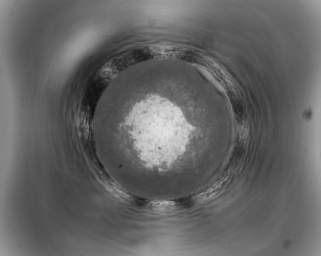 X0000099410429200805091223