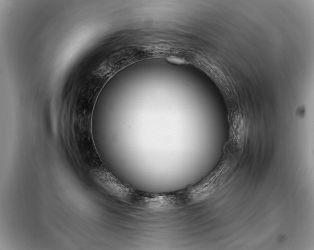 X0000099410430200805091223